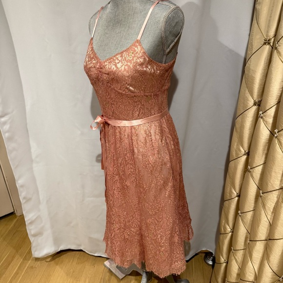 Elegant Pink Lace Dress - Picture 3 of 11